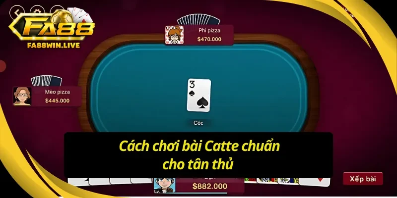 Tìm hiểu cách chơi Catte Fa88, tự tin đặt cược