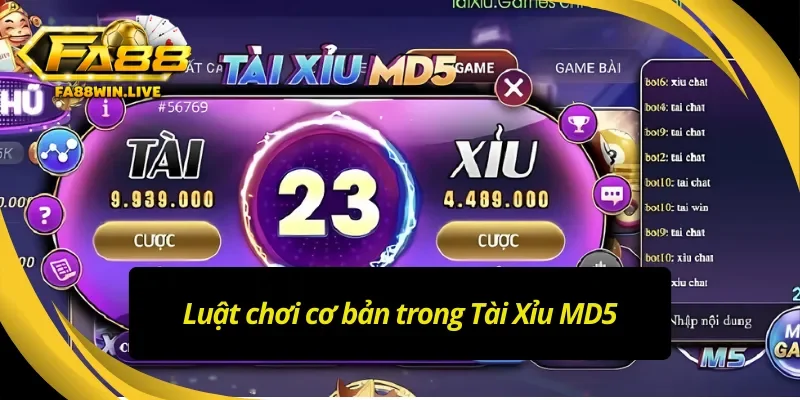 Luật chơi cơ bản của Tài Xỉu MD5